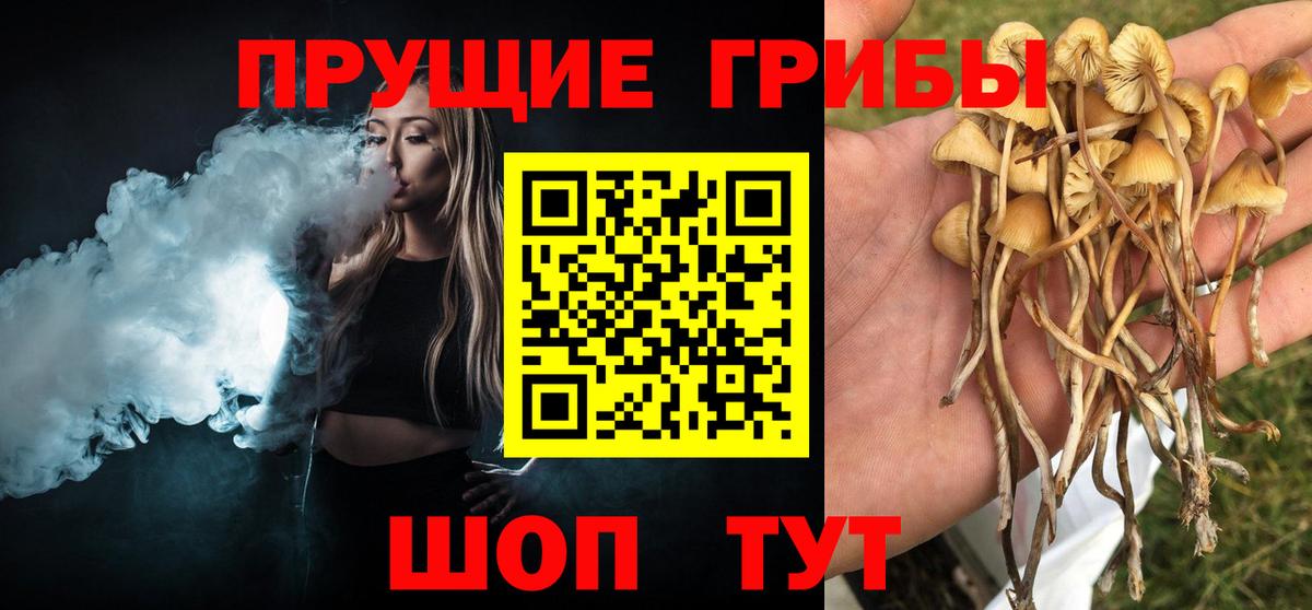 Галлюциногенные грибы GOLDEN TEACHER Киров