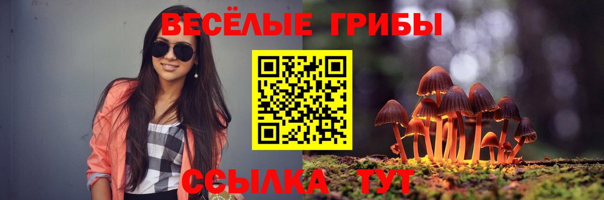 купить наркоту  Вход с VPN  Галлюциногенные грибы Cubensis  Киров  Псилоцибиновые грибы мухоморы 